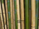 Miljøvenlige bambusstrømper - Gør en forskel for miljøet!